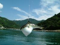 目標は烏賊 2007/09/25 20:29:53