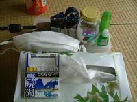 3/13N湖再度撃沈 2009/03/14 23:48:55