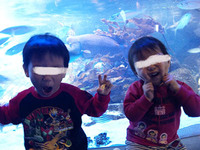 鳥羽水族館に行きたい
