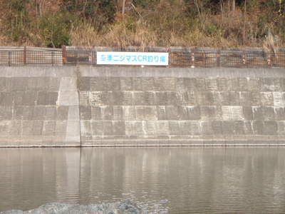 秩父荒川冬季にじますC&R区間釣行