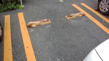 心にうつりゆくよしなしごと