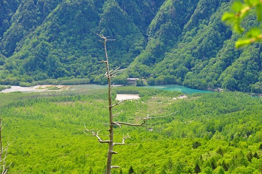 百名山の焼岳へ！！