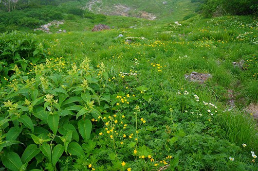 白馬三山縦走！ 白馬鑓温泉～白馬岳頂上宿舎！！