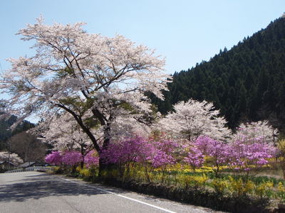 近場で！鮎川釣行