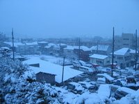 練馬にも雪 2006/01/21 15:34:00