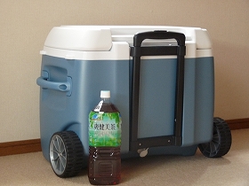 Ｉｇｌｏｏ　ＭＡＸＣＯＬＤ ＲＯＬＬＥＲ ６０ＱＴ