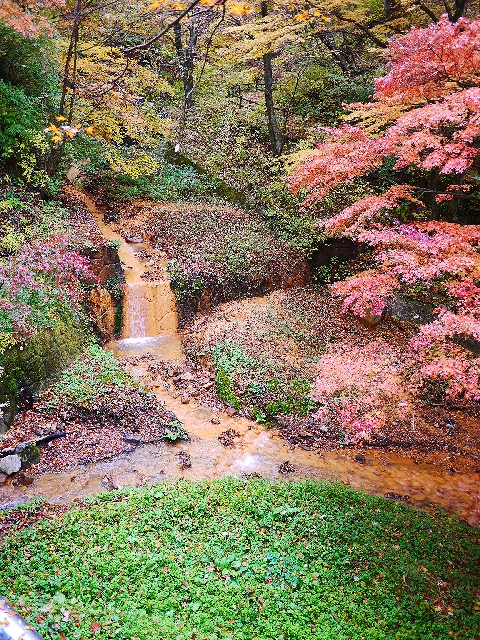 ソロキャンプとオータムオプション♪②　温泉と紅葉編