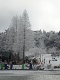六甲山スキー場～スキー教室。