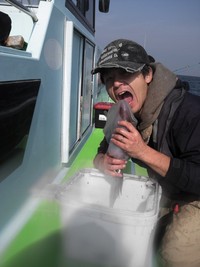 2012年　10月　22日　野毛屋　アオリイカ　神奈川　相模湾 2012/10/30 00:02:09