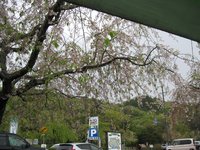 東谷山フルーツパーク　石ひろい池