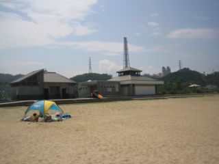 夏といえば、海水浴ですもん