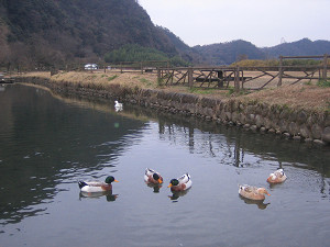 おやじ的な会
