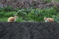 旅立つ君へ 2012/03/17 12:05:07
