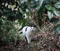 ウロウロうし太郎 2012/03/14 20:11:51