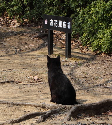 今年もこの季節が