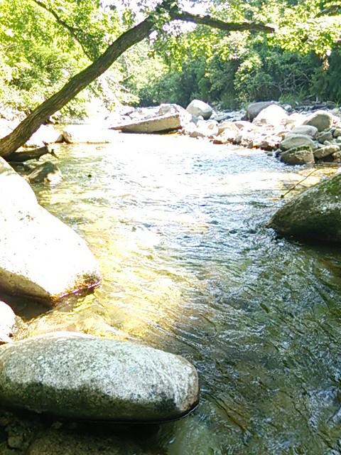 極秘・極上の地でDAYキャンプ