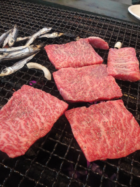 飛騨小坂ふれあいの森