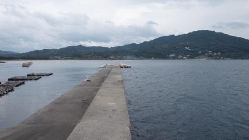 タコングin野北