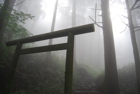 大岳山～鋸山
