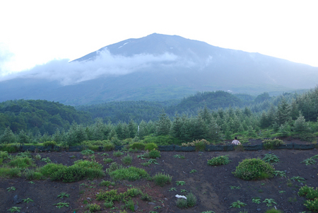 富士山にも登ってみた