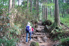 箱根　金時山