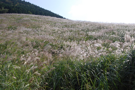 箱根　金時山