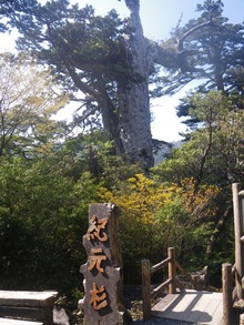 屋久島トレッキング　その１