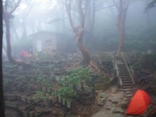屋久島トレッキング　その６