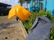 屋久島　番外編　その１