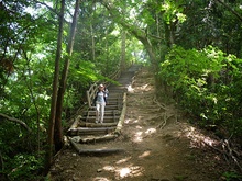 城山湖周遊コース