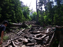 蓼科山