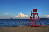 ちょっと、近くの海まで・・・