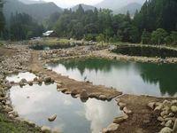 発光路の森、ご紹介