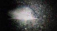 ゲットだぜッ！寒い日はこれで決まりっ！ 2012/02/01 00:16:30