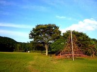 秋の愛鷹山　芝生公園