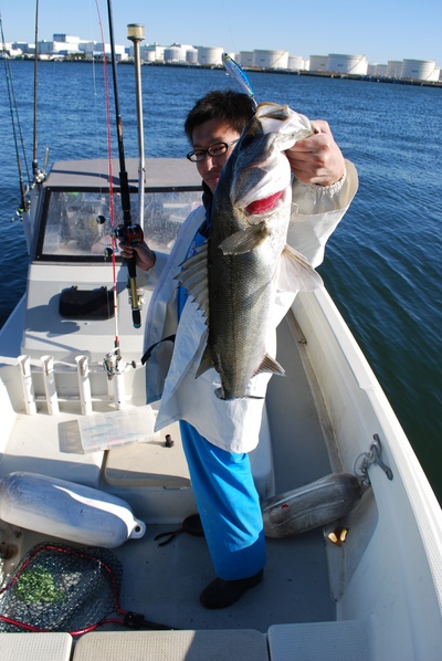 週末の釣果