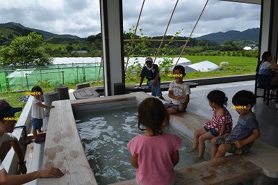 ＠清和県民の森ロッジ村▲2