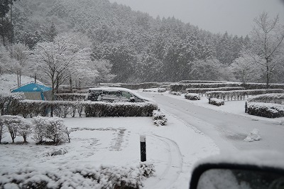 ＠乙女森林公園第2キャンプ場▲コテージ