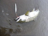 遺留捜査で思わぬ・・・