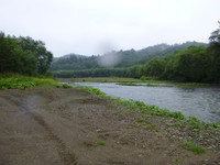 渋い・・・ 2013/09/14 20:05:34