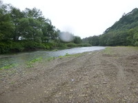 渋い・・・
