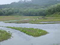 渋い・・・