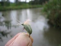 釣れませんでしたが！秘密兵器