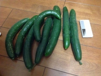 近況・・(^^;) 2013/07/16 19:11:00