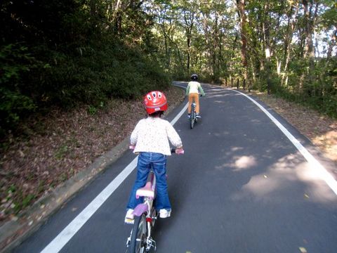 森林公園でサイクリング