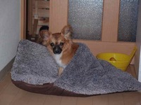 ぬくぬく〜♪