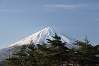 我が家のＧＷ