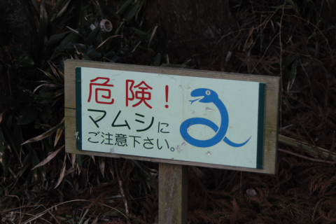 散策080127