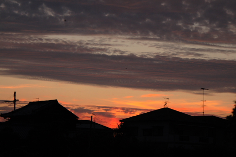 たまには夕焼け