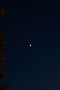 昨日の今頃